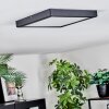 Isela Lampa sufitowa, Panel LED Czarny, 1-punktowy