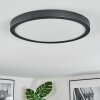 Isela Lampa sufitowa, Panel LED Czarny, 1-punktowy