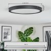 Isela Lampa sufitowa, Panel LED Czarny, 1-punktowy