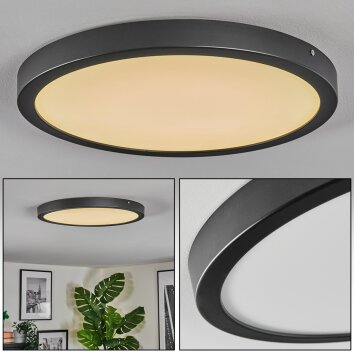 Isela Lampa sufitowa, Panel LED Czarny, 1-punktowy