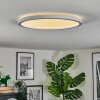 Xarel Lampa sufitowa, Panel LED Biały, 1-punktowy
