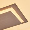 Ilion Lampa sufitowa, Panel LED Nikiel matowy, Biały, 1-punktowy