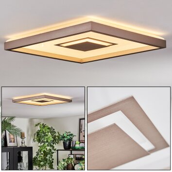 Ilion Lampa sufitowa, Panel LED Nikiel matowy, Biały, 1-punktowy