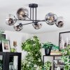 Ripoll Lampa sufitowa, Kula świetlna Chrom, Przezroczysty, Przydymiony, 6-punktowe
