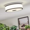 Elran Lampa sufitowa LED Czarny, Biały, 1-punktowy