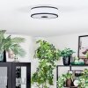 Elran Lampa sufitowa LED Czarny, Biały, 1-punktowy