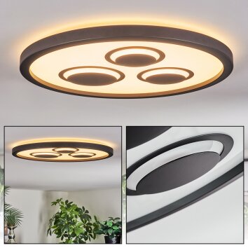 Ilyan Lampa sufitowa, Panel LED Czarny, 1-punktowy