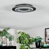 Lidor Lampa sufitowa LED Czarny, 1-punktowy
