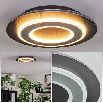 Lidor Lampa sufitowa LED Czarny, 1-punktowy