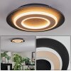 Lidor Lampa sufitowa LED Czarny, 1-punktowy