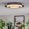 Lidor Lampa sufitowa LED Czarny, 1-punktowy