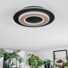 Lidor Lampa sufitowa LED Czarny, 1-punktowy