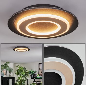 Lidor Lampa sufitowa LED Czarny, 1-punktowy