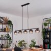 Koyoto Lampa wisząca, Kula świetlna, Lampa wisząca Przezroczysty, Przydymiony, 5-punktowe