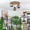 Ripoll lampa sufitowa, kula świetlna kolory naturalne, czarny, 3-punktowe