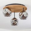 Ripoll lampa sufitowa, kula świetlna kolory naturalne, czarny, 3-punktowe