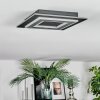 Lidor Lampa sufitowa LED Czarny, 1-punktowy