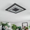 Lidor Lampa sufitowa LED Czarny, 1-punktowy