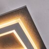 Lidor Lampa sufitowa LED Czarny, 1-punktowy