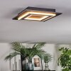 Lidor Lampa sufitowa LED Czarny, 1-punktowy