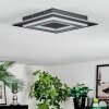 Lidor Lampa sufitowa LED Czarny, 1-punktowy