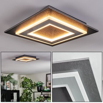 Lidor Lampa sufitowa LED Czarny, 1-punktowy