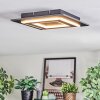 Lidor Lampa sufitowa LED Czarny, 1-punktowy