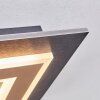 Lidor Lampa sufitowa LED Czarny, 1-punktowy