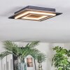 Lidor Lampa sufitowa LED Czarny, 1-punktowy