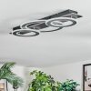 Lidor Lampa sufitowa LED Chrom, Czarny, 1-punktowy
