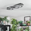 Lidor Lampa sufitowa LED Chrom, Czarny, 1-punktowy