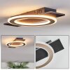 Lidor Lampa sufitowa LED Czarny, 1-punktowy