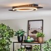 Lidor Lampa sufitowa LED Czarny, 1-punktowy