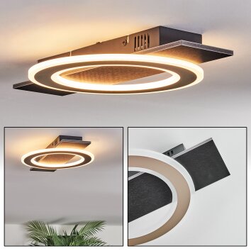 Lidor Lampa sufitowa LED Czarny, 1-punktowy