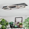 Lidor lampa sufitowa LED chrom, czarny, 1-punktowy