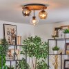 Koyoto lampa sufitowa, kula świetlna 40 cm kolory naturalne, czarny, 3-punktowe