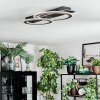 Lidor Lampa sufitowa LED Czarny, 1-punktowy