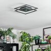 Manor Lampa sufitowa LED Czarny, 1-punktowy, Zdalne sterowanie