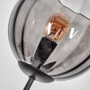 Koyoto Kula świetlna, Lampa stojąca Przydymiony, 3-punktowe