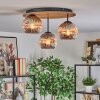 Ripoll lampa sufitowa, kula świetlna kolory naturalne, czarny, 3-punktowe