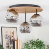 Ripoll lampa sufitowa, kula świetlna kolory naturalne, czarny, 3-punktowe