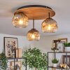 Ripoll lampa sufitowa, kula świetlna kolory naturalne, czarny, 3-punktowe