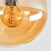 Gastor Lampa sufitowa, Kula świetlna W kolorze bursztynu, Przydymiony, 5-punktowe