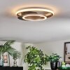 Lynor Lampa sufitowa LED Antracytowy, Czarny, 1-punktowy
