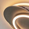 Lynor Lampa sufitowa LED Antracytowy, Czarny, 1-punktowy