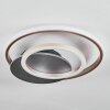 Lynor Lampa sufitowa LED Antracytowy, Czarny, 1-punktowy