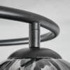 Koyoto lampa sufitowa, kula świetlna 37 cm przezroczysty, przydymiony, 3-punktowe