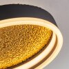 Guine Lampa sufitowa LED Złoty, Czarny, 1-punktowy