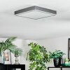 Salmi Lampa sufitowa, Panel LED Szary, Srebrny, 1-punktowy