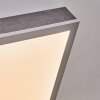 Salmi Lampa sufitowa, Panel LED Szary, Srebrny, 1-punktowy
